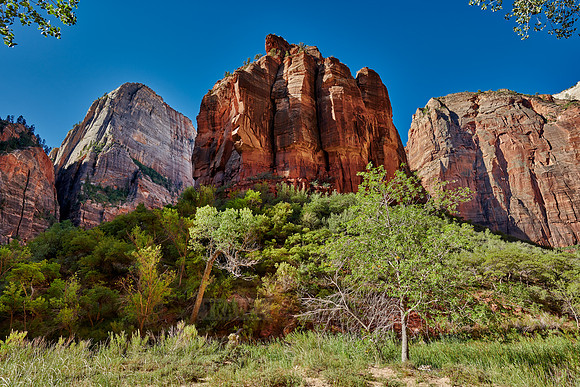 Big Bend of Zion National Park