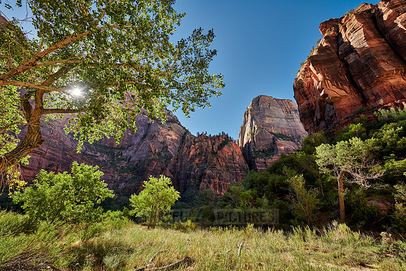 Big Bend of Zion National Park