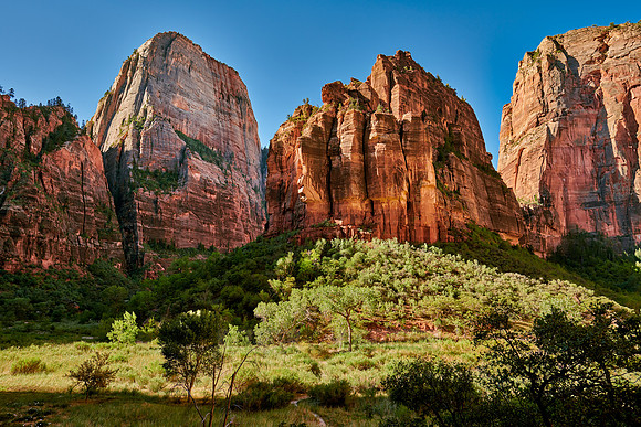 Big Bend of Zion National Park