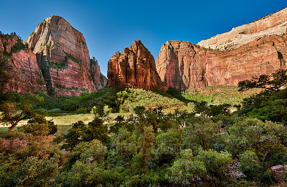 Big Bend of Zion National Park