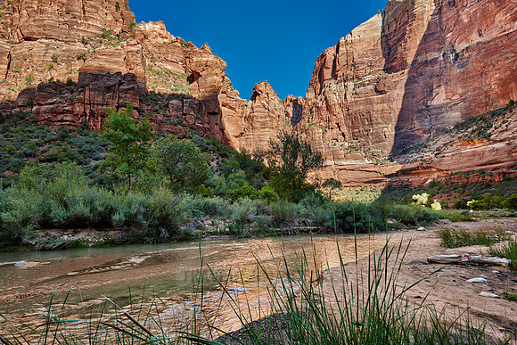 river in Zion National Park, Utah, USA, North America