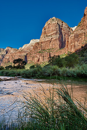 river in Zion National Park, Utah, USA, North America
