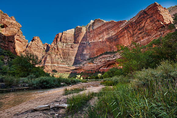 river in Zion National Park, Utah, USA, North America