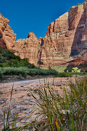 river in Zion National Park, Utah, USA, North America