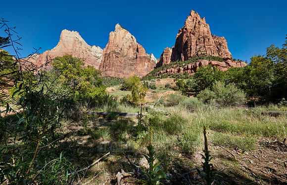 The Three Patriarchs in Zion National Park