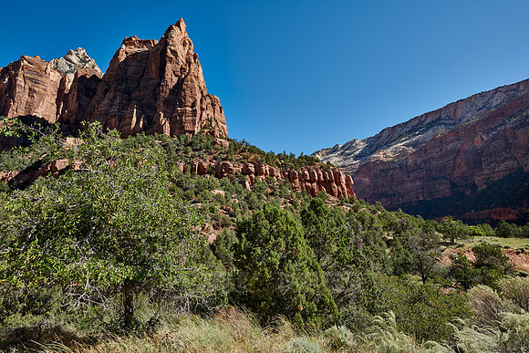 The Three Patriarchs in Zion National Park