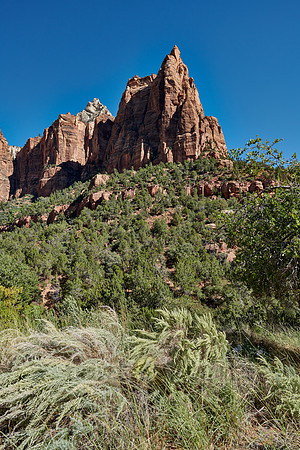The Three Patriarchs in Zion National Park