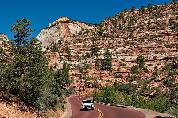 road with car in Zion National Park