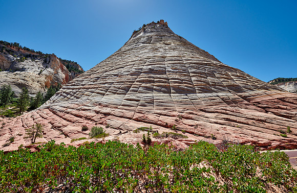 Checkerboard Mesa, Zion National Park