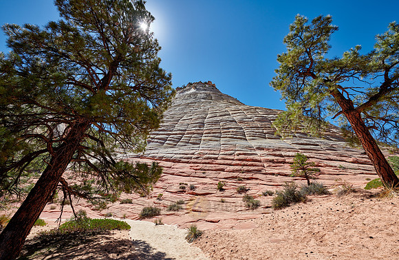 Checkerboard Mesa, Zion National Park