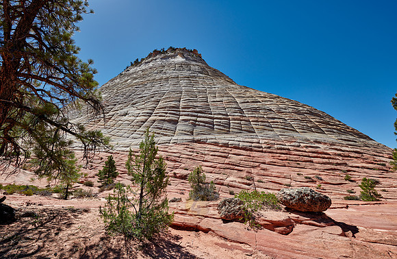 Checkerboard Mesa, Zion National Park