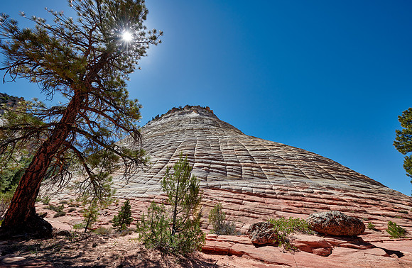 Checkerboard Mesa, Zion National Park
