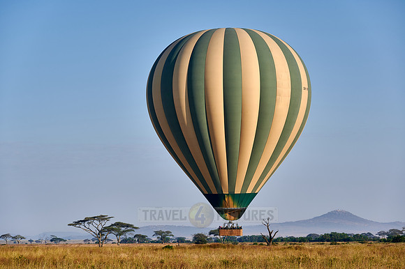 Hot air balloon over Serengeti