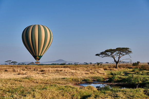 Hot air balloon over Serengeti