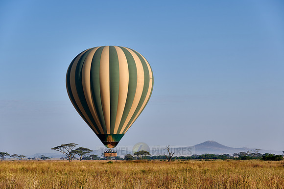 Hot air balloon over Serengeti