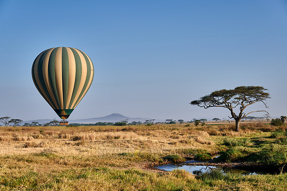 Hot air balloon over Serengeti