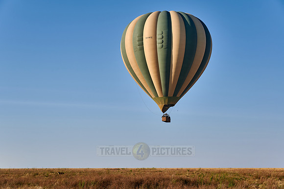 Hot air balloon over Serengeti