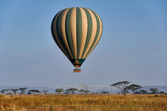 Hot air balloon over Serengeti