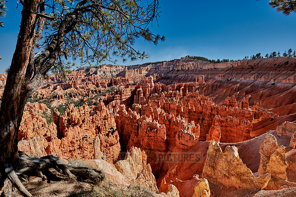 Bryce Canyon National Park