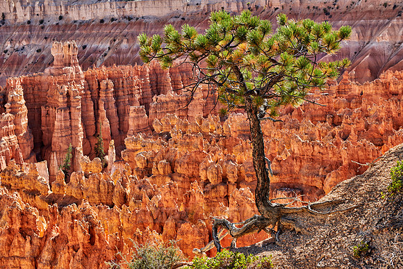 Bryce Canyon National Park