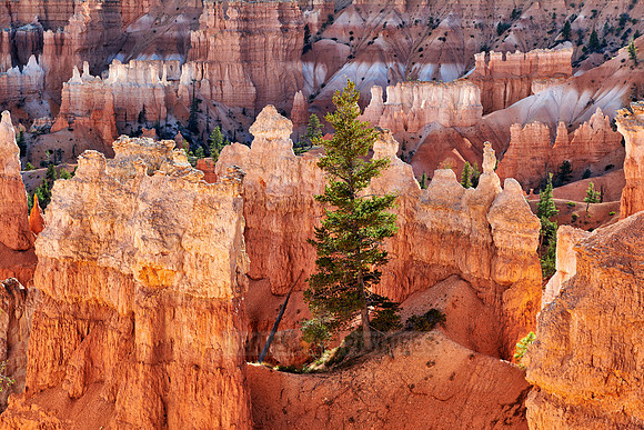 Bryce Canyon National Park, Navajo Loop trail