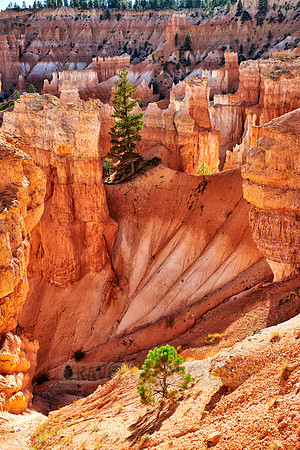 Bryce Canyon National Park, Navajo Loop trail