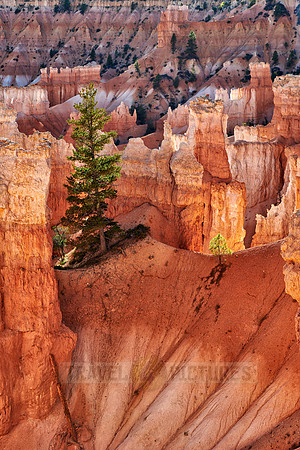 Bryce Canyon National Park, Navajo Loop trail