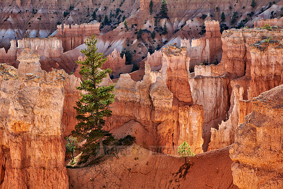 Bryce Canyon National Park, Navajo Loop trail