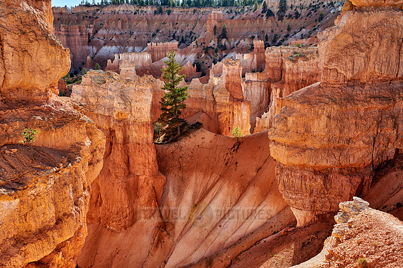 Bryce Canyon National Park, Navajo Loop trail