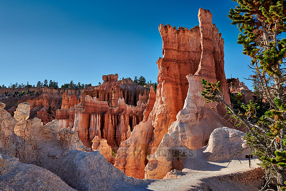 Bryce Canyon National Park, Navajo Loop trail