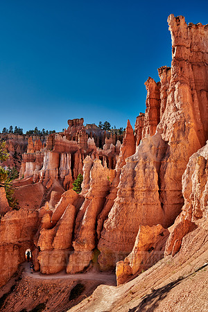 Bryce Canyon National Park, Navajo Loop trail