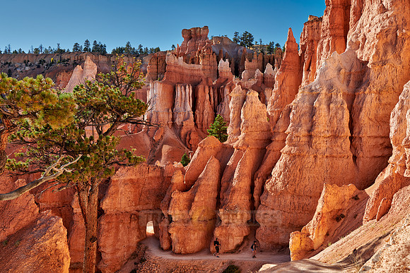 Bryce Canyon National Park, Navajo Loop trail