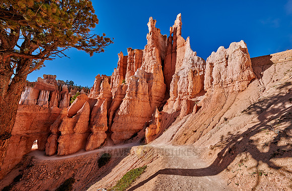 Bryce Canyon National Park, Navajo Loop trail