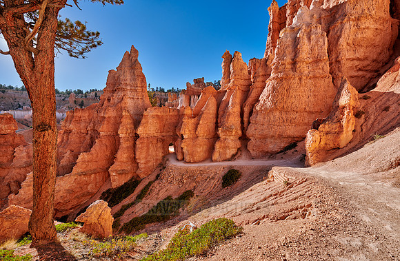 Bryce Canyon National Park, Navajo Loop trail