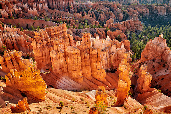 morning over Bryce Canyon National Park