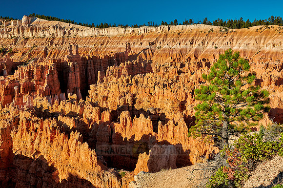 morning over Bryce Canyon National Park