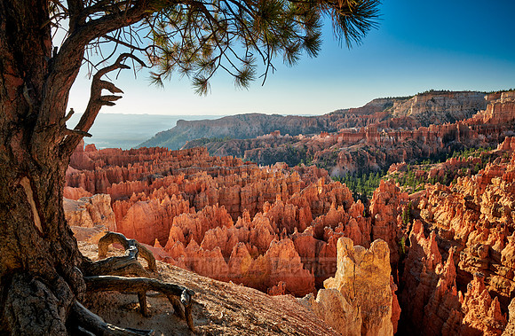 morning over Bryce Canyon National Park