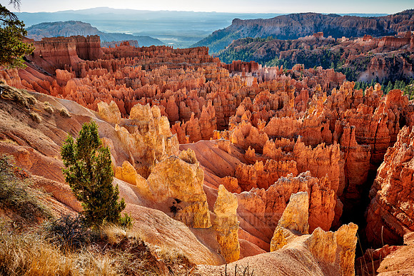 morning over Bryce Canyon National Park