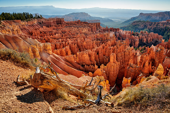morning over Bryce Canyon National Park