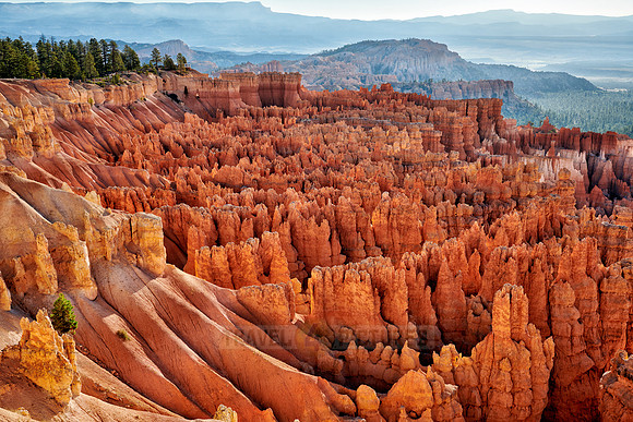 morning over Bryce Canyon National Park