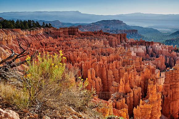 morning over Bryce Canyon National Park