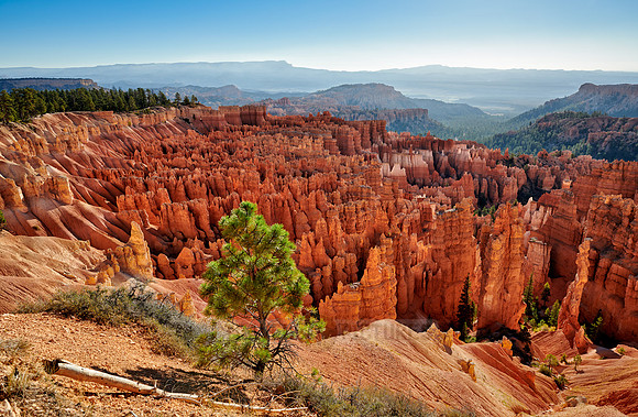 morning over Bryce Canyon National Park