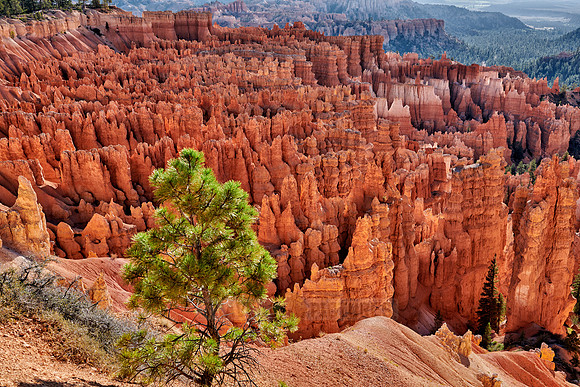 morning over Bryce Canyon National Park
