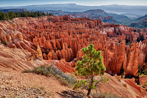 morning over Bryce Canyon National Park