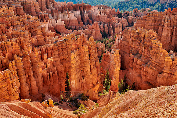 morning over Bryce Canyon National Park