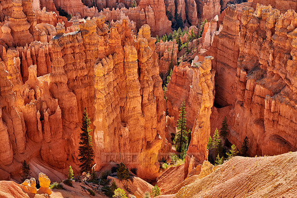 morning over Bryce Canyon National Park