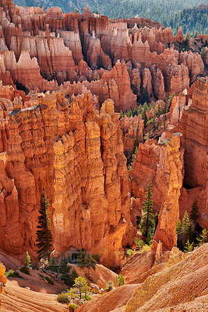 morning over Bryce Canyon National Park