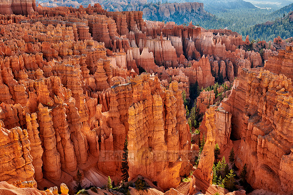 morning over Bryce Canyon National Park