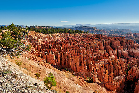 morning over Bryce Canyon National Park