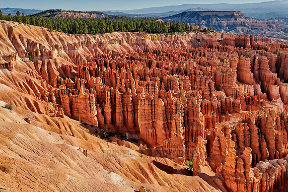 morning over Bryce Canyon National Park